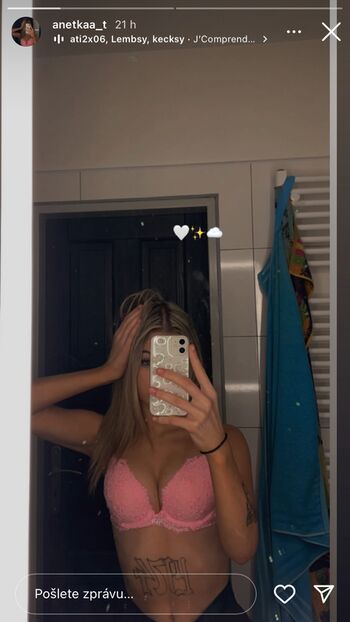 anetkaa_t