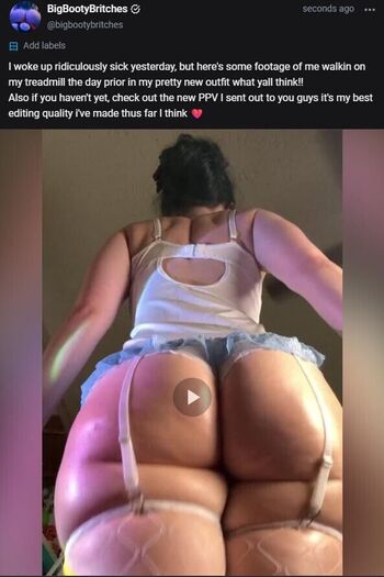 Bigbootybritches