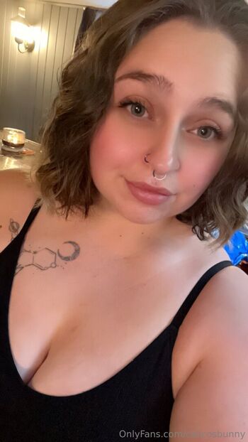calicosbunny