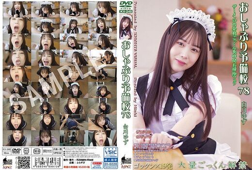 FS.Knights Visual