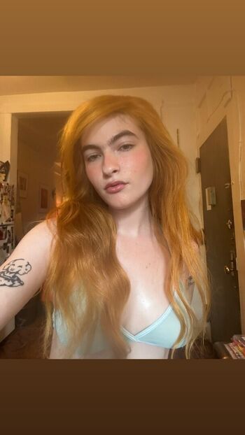 Ivy Wolk
