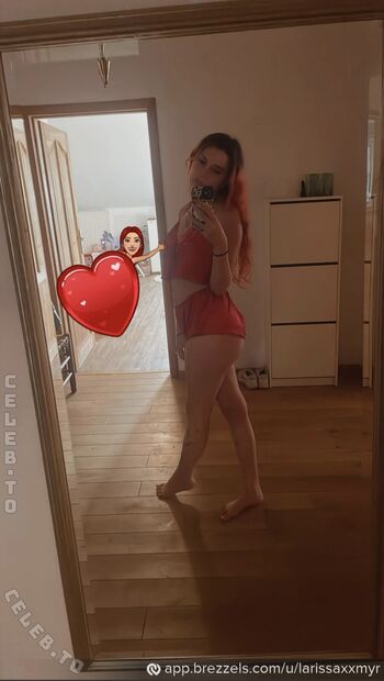 Laxissaxmyr