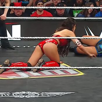 The Bella Twins