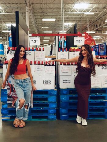 The Bella Twins