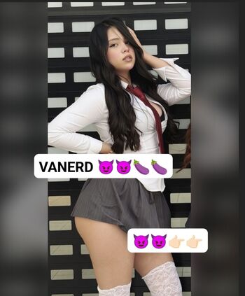 Vanerd